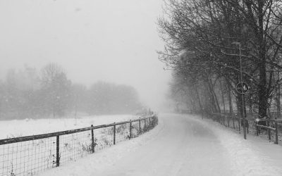 Office & CROSS Center Closed Tuesday